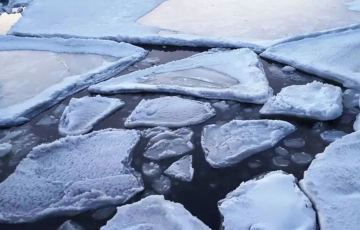 На реках Беларуси заметили шугоход