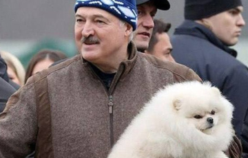 Синоптики поставили Лукашенко в нелепое положение