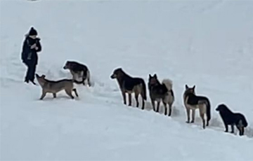 «Ва ўсім вінаваты толькі чалавек»