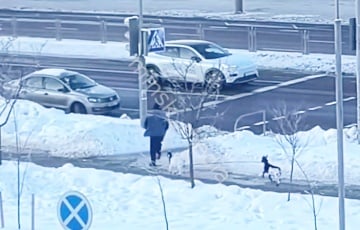 Мінчанін выгульваў дзвюх коз і стаў зоркай Сеціва