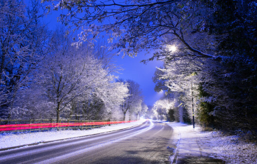 «Будто лось прыгнул на машину»