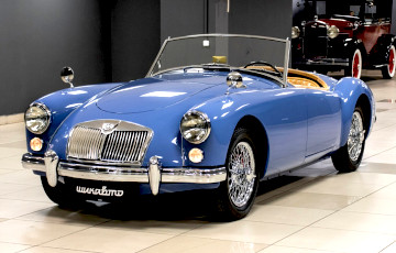 У Беларусі прадаюць унікальны рарытэтны родстэр