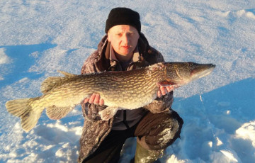 Под Минском рыбак поймал огромную щуку