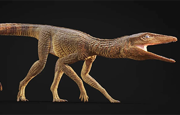 Ученый назвал новый вид древнего крокодила в честь школьного учителя