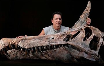 У Сахары знойдзены ўнікальны дыназавр