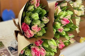 На минской Комаровке появились попугайные белорусские тюльпаны