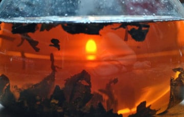 Назван напиток, снижающий накопление жира в организме