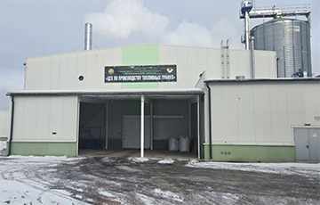 Пеллетный завод под Житковичами лишился экспорта из-за санкций против режима Лукашенко