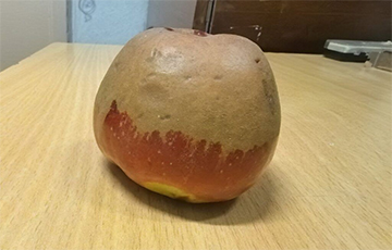 В Смолевичах вспыхнул скандал из-за яблока, выданного на школьный обед