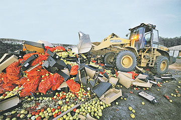 Белорусские товары на границе России уничтожают тоннами