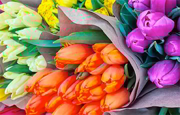«Это не букет, а веник»: белоруски возмущены дорогими тюльпанами