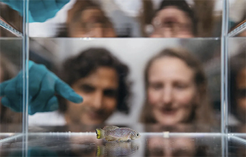 Продолжительность жизни может быть связана с повседневными привычками