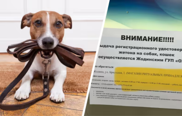 Белорусам предложили регистрировать питомцев в магазине ритуальных товаров