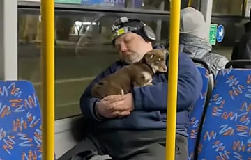 Гомельчанин задремал в автобусе со щенком на руках  и стал звездой соцсетей