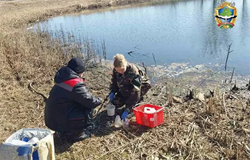 У Лунінецкім раёне выявілі анамалію