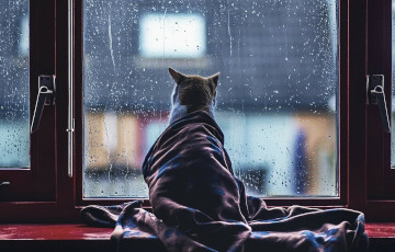 Сіноптыкі папярэдзілі Беларусь пра балтыйскі халодны фронт