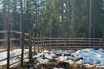 У лесе пад Крупкамі заўважылі доўгі плот