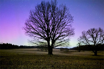 Небо над Беларусью озарило полярное сияние