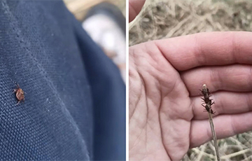 «Снял с себя 140 штук, дальше считать было лень»