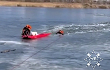 У Гомелі супрацоўнікі МНС выратавалі сабаку з-пад лёду