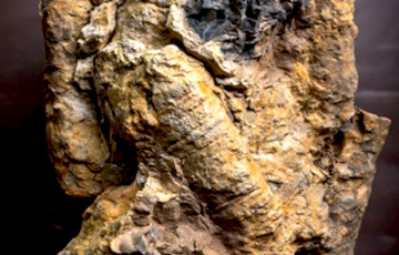 Ученые нашли следы древней жизни в полной темноте