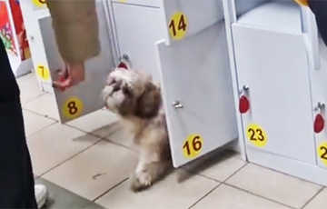 «Яе б туды пасадзіць»