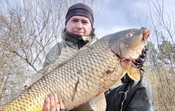 Рыбак поймал на Немане сазана размером с поросенка