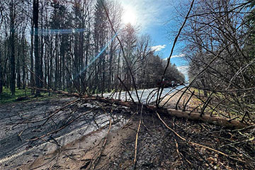 Циклон «Рапунцель» бушует в Беларуси