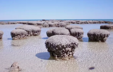 У Аўстраліі знайшлі «акно ў мінулае» Зямлі