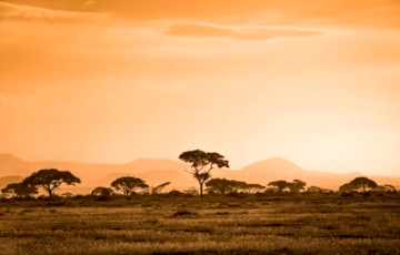 В Эфиопии обнаружили уникальное свидетельство жизни древних людей