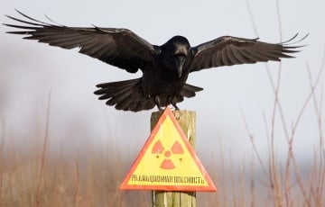 Лукашэнка вырашыў пабудаваць «вежу Саўрона» каля Чарнобыля