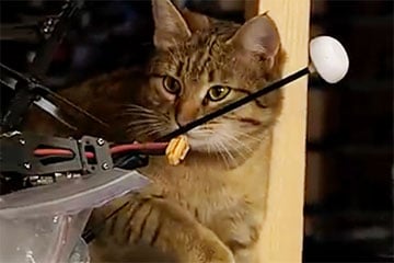 «Это у нас главный инженер»