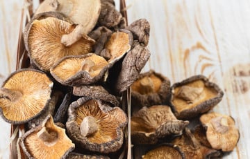 В Минске продают грибы по 670 рублей за кило