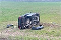 Под Могилевом Volkswagen столкнулся с лосем
