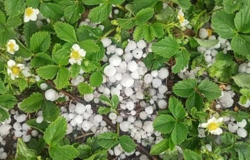 Беларусь накрыл крупный град