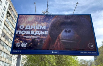 В Новосибирске начался переполох из-за баннера с орангутаном к 9 мая