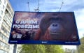 В Новосибирске начался переполох из-за баннера с орангутаном к 9 мая