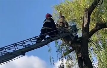 У Дзятлаве беларус спілоўваў галіны на дрэве і застрэў