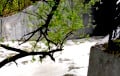 «Сегодня наблюдали в Лошицком парке странное зрелище»