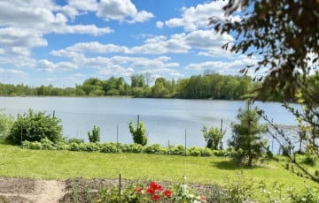 Ўчасткі ў адной з самых дарагіх вёсак пад Мінскам каштуюць па $100 000