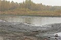 В Беларуси исчезает озеро с «лечебной» водой