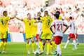 The Match Between The National Teams Of Denmark And Ukraine Has Been Urgently Stopped