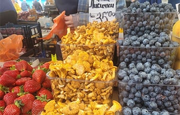 На минской Комаровке появились первые грибы