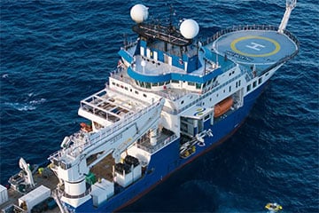 Морская экспедиция обнаружила 31 новый вид за две недели