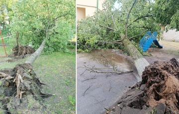 Бобруйск накрыло непогодой