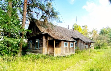 Пустуючыя дамы ў гэтай вобласці нарасхват у беларусаў