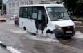 The Wind Knocked Down Trees In Vitebsk