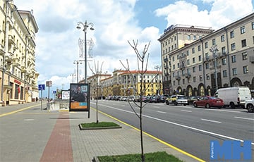 Стала вядома, што адбываецца з дрэвамі ў Мінску