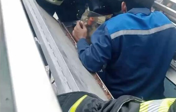 Белорус застрял в комбайне на производстве шампиньонов под Толочином