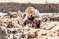 Археологи нашли в Перу 500-летние чипсы